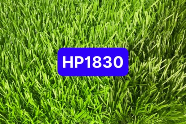 mặt cỏ nhân tạo 3 cm 18 mũi chứa đế UV