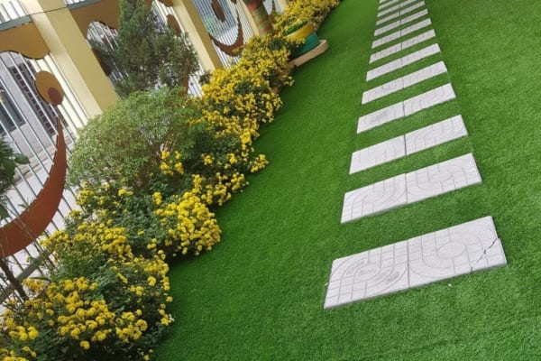 ứng dụng cỏ của cỏ nhân tạo sân vườn